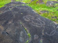 IMG_8636-Enhanced-NR