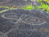 IMG_8638-Enhanced-NR