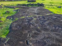 IMG_8654-Enhanced-NR