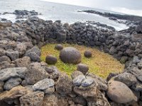 IMG_8676-Enhanced-NR