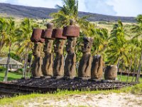 IMG_8690-Enhanced-NR