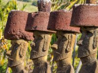 IMG_8700-Enhanced-NR