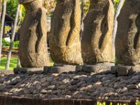 IMG_8709-Enhanced-NR