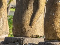 IMG_8714-Enhanced-NR