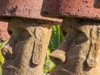 IMG_8723-Enhanced-NR