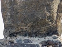 IMG_8740-Enhanced-NR