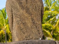 IMG_8756-Enhanced-NR