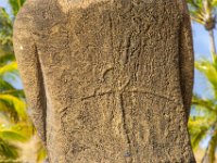 IMG_8758-Enhanced-NR