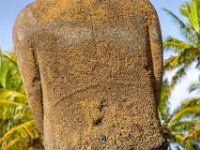 IMG_8764-Enhanced-NR