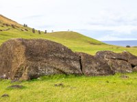 IMG_8827-Enhanced-NR