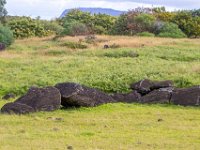 IMG_8835-Enhanced-NR