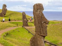 IMG_8845-Enhanced-NR