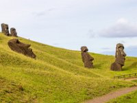 IMG_8871-Enhanced-NR