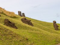 IMG_8872-Enhanced-NR