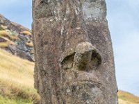 IMG_8874-Enhanced-NR