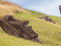 IMG_8881-Enhanced-NR