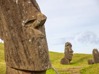 IMG_8893-Enhanced-NR