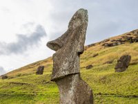 IMG_8898-Enhanced-NR