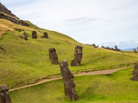 IMG_8900-Enhanced-NR