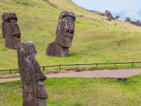 IMG_8913-Enhanced-NR