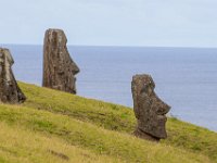 IMG_8917-Enhanced-NR