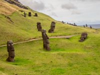 IMG_8921-Enhanced-NR