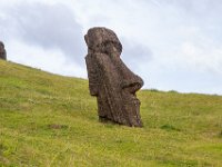 IMG_8932-Enhanced-NR