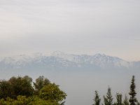 IMG_7932-Enhanced-NR