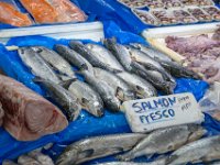 IMG_8213-Enhanced-NR