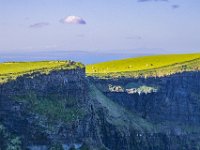 IMG_7547