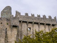IMG_6861