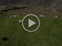 DJI_0709