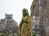 IMG_6700