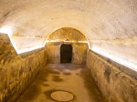 IMG_7718-Enhanced-NR