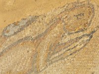 IMG_7739-Enhanced-NR