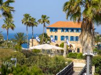 IMG_7638-Enhanced-NR