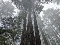 PXL_20240425_202405369